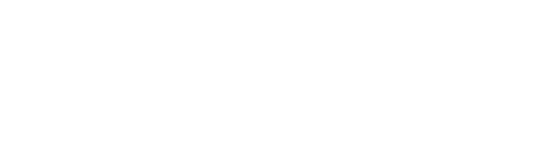 Lyon Financial